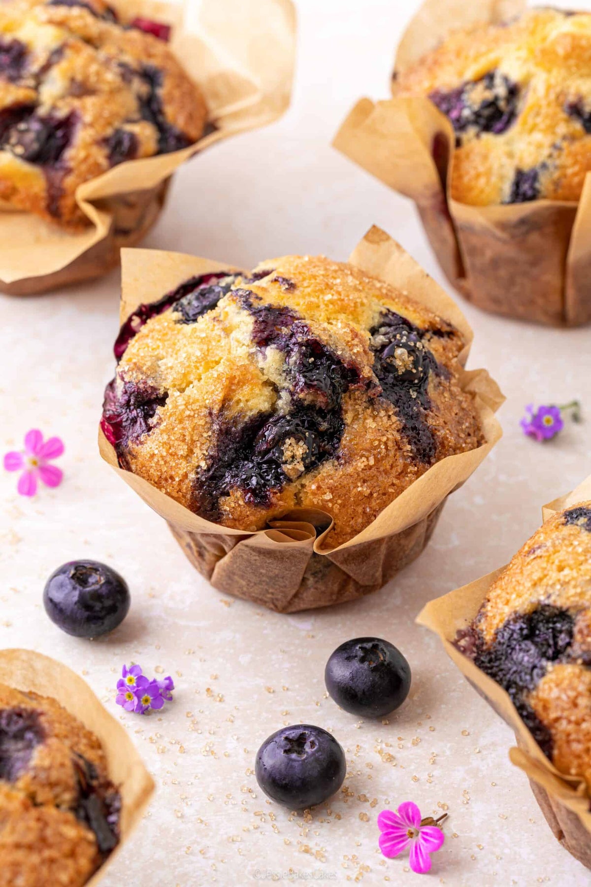 Blueberry & Cream Muffin